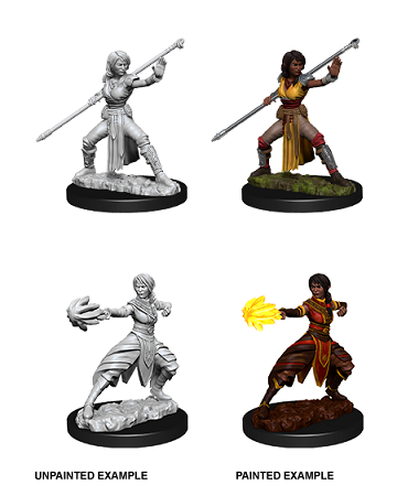 Nolzur WV10 Female Half Elf Monk