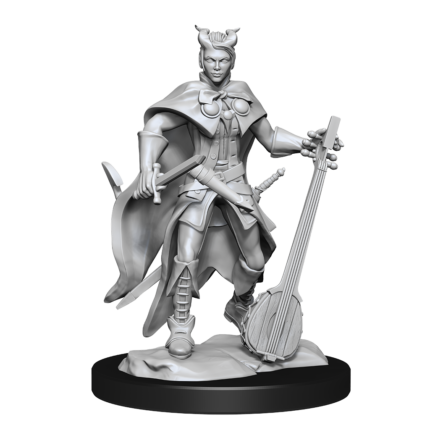 Nolzur WV14 Female Tiefling Bard