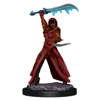 Icons Pre Painted Female Human Rogue
