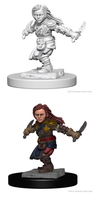Nulzur Wv1 Halfling Female Rogue